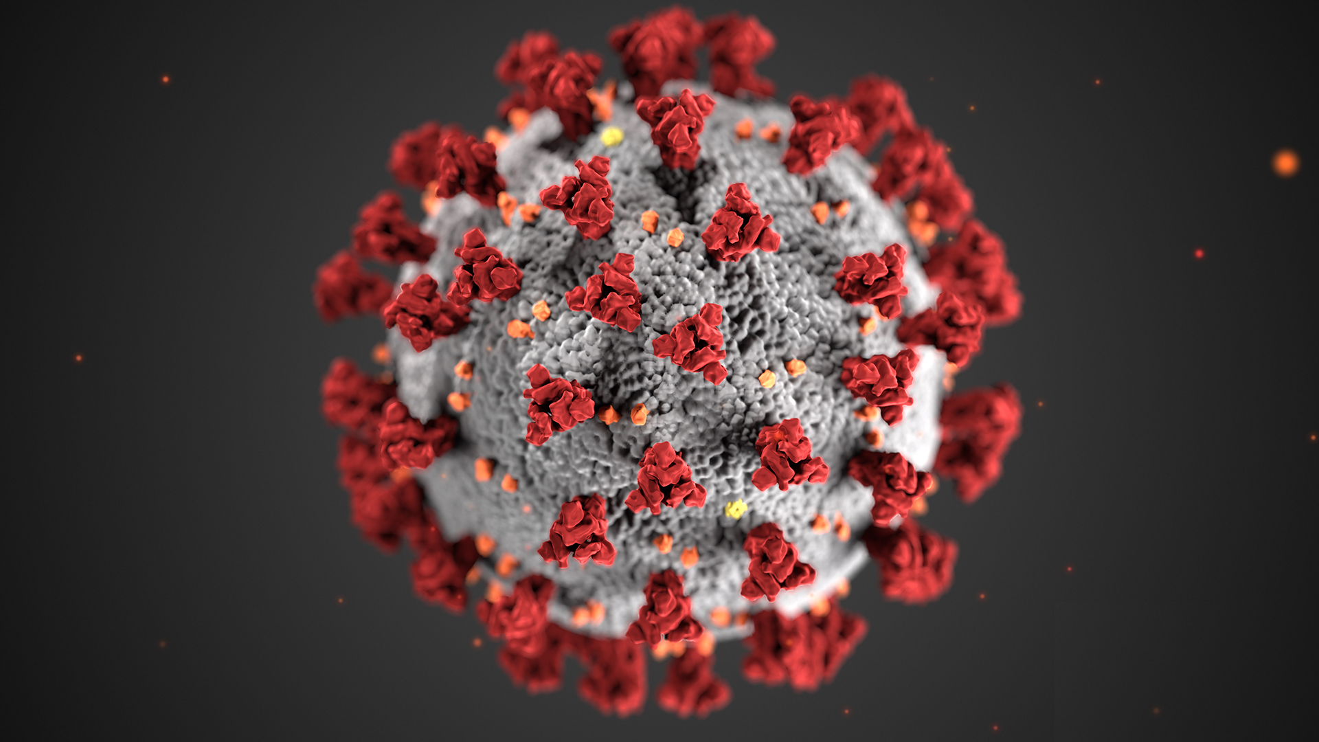 Spremembe v času korona virusa (COVID-19)